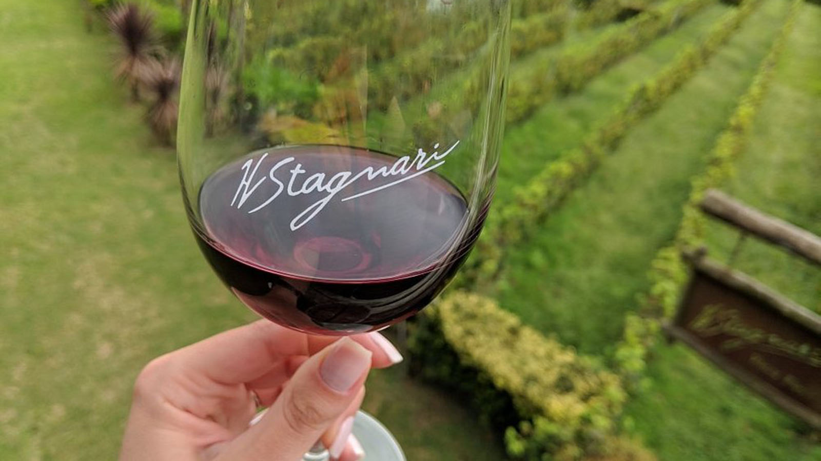 Día del Patrimonio en H. Stagnari: Visitá la bodega del TannaT más premiado del mundo